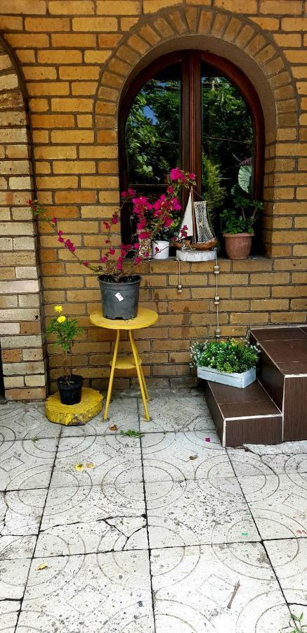 Green House In バトゥーミ エクステリア 写真
