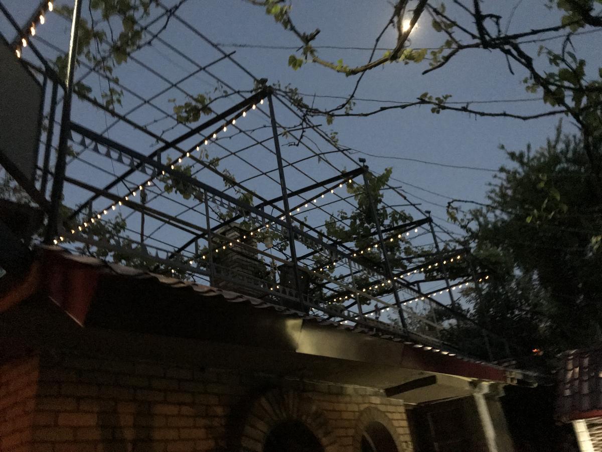 Green House In バトゥーミ エクステリア 写真