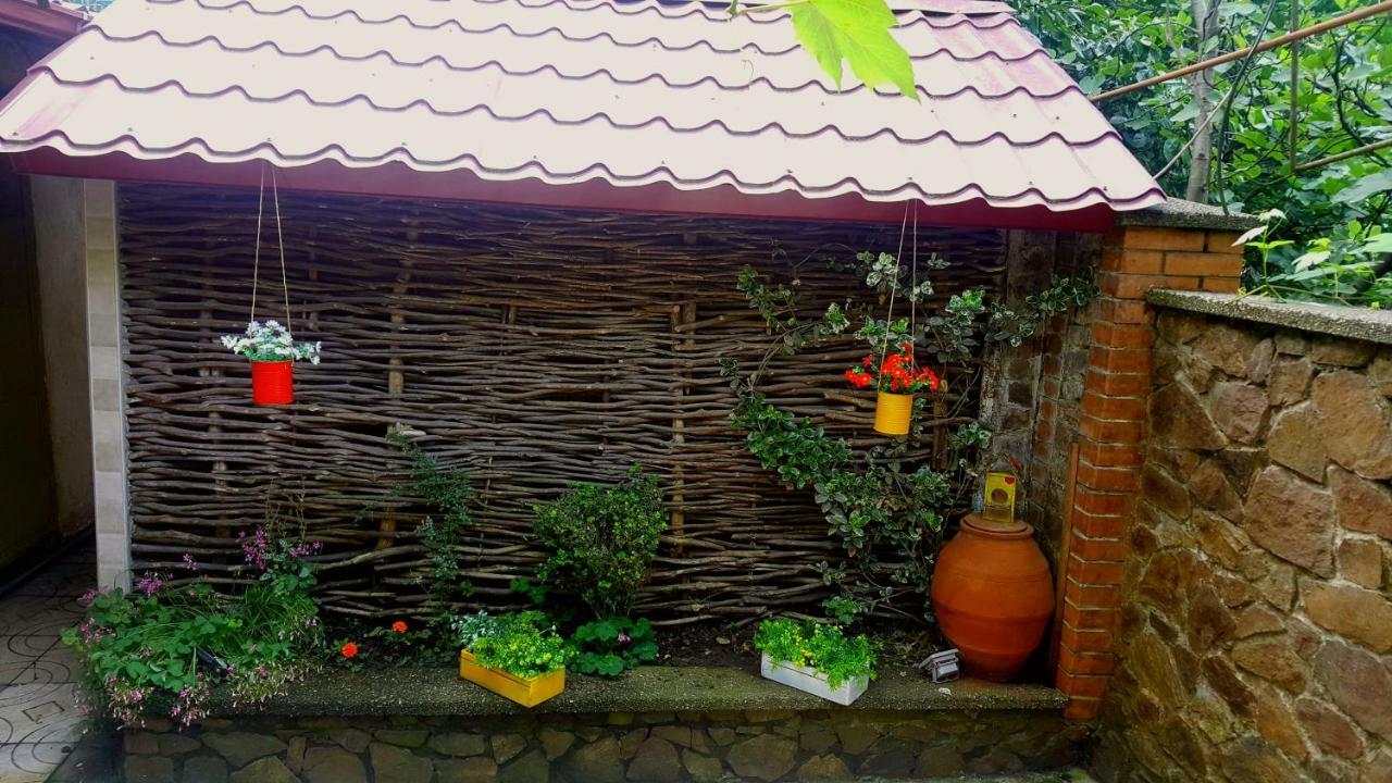 Green House In バトゥーミ エクステリア 写真